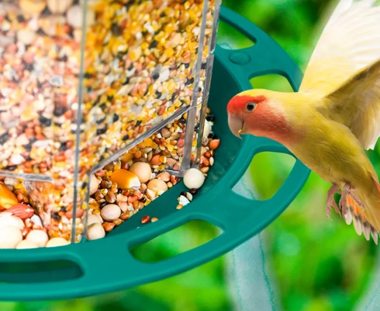 Comedero Automático para Aves